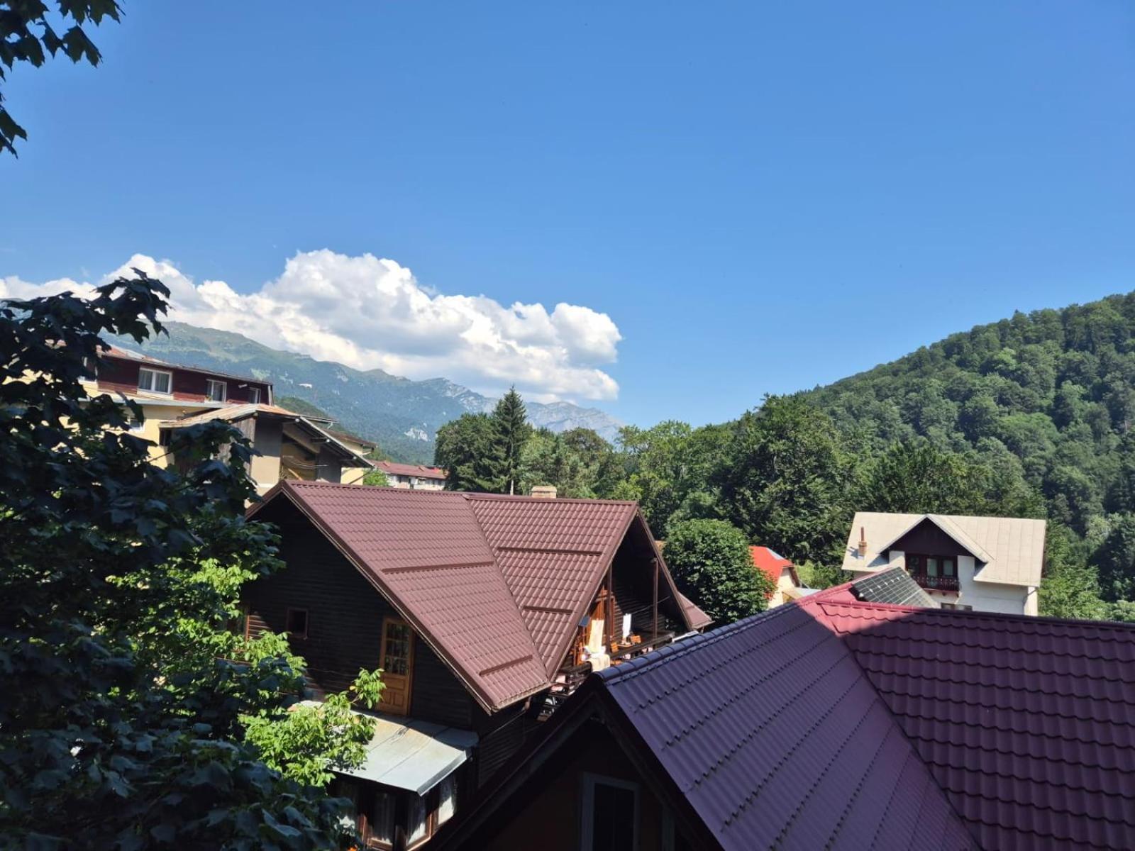 Luxroom In Greenfuture Sinaia Exteriör bild