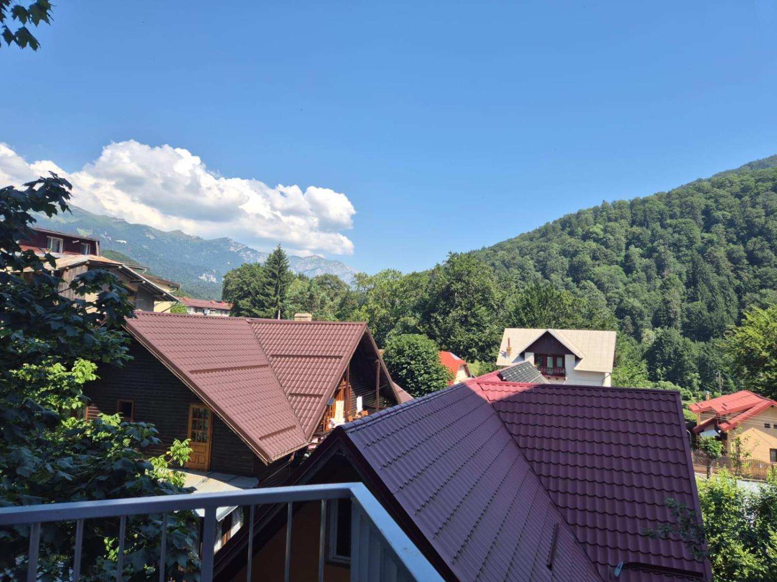 Luxroom In Greenfuture Sinaia Exteriör bild